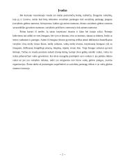 Kas yra socialinės paslaugos? 2 puslapis