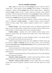 Kas yra socialinės paslaugos? 3 puslapis