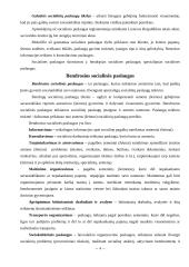 Kas yra socialinės paslaugos? 4 puslapis