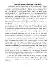 Kas yra socialinės paslaugos? 7 puslapis