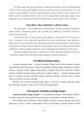 Kas yra socialinės paslaugos? 8 puslapis