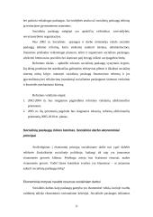 Socialinio darbo ekonomizavimas ir socialinių paslaugų efektyvumas 11 puslapis