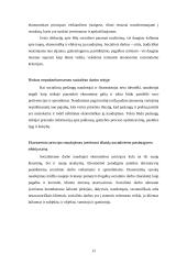 Socialinio darbo ekonomizavimas ir socialinių paslaugų efektyvumas 12 puslapis