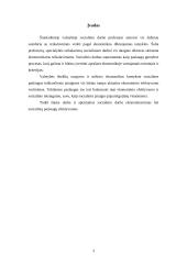 Socialinio darbo ekonomizavimas ir socialinių paslaugų efektyvumas 3 puslapis