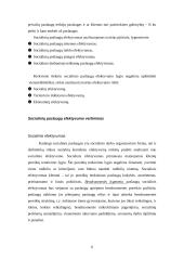 Socialinio darbo ekonomizavimas ir socialinių paslaugų efektyvumas 6 puslapis