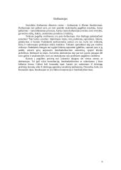 Socialinio darbuotojo profesiograma 6 puslapis