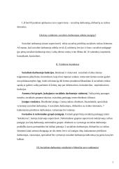 Socialinio darbuotojo vaidmuo ir jo analizė 2 puslapis