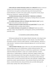 Socialinio darbuotojo vaidmuo ir jo analizė 3 puslapis