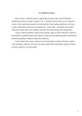 Socialinio darbuotojo vaidmuo ir jo analizė 6 puslapis