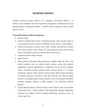 Socialinių išmokų administravimo vertinimas 4 puslapis