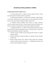 Socialinių išmokų administravimo vertinimas 6 puslapis