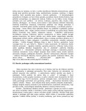 Socialinių įtampų laukai: skurdas - prabanga 4 puslapis