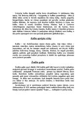 Spaudos atgavimo 100-metis Lietuvoje 2 puslapis