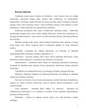 Spektaklių kūrimo proceso valdymo praktika: "Panevėžio lėlių vežimo teatras" 5 puslapis