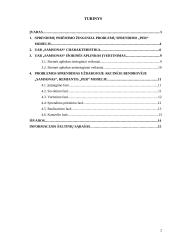 Sprendimų priėmimas įmonėje: UAB "Samsonas" 2 puslapis