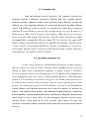 Sprendimų priėmimas įmonėje: UAB "Samsonas" 12 puslapis
