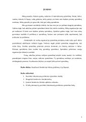 Sprendimų priėmimas įmonėje: UAB "Samsonas" 3 puslapis