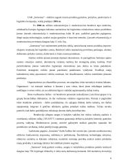 Sprendimų priėmimas įmonėje: UAB "Samsonas" 6 puslapis