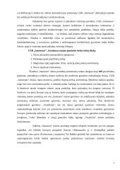 Sprendimų priėmimas įmonėje: UAB "Samsonas" 7 puslapis