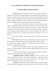 Sprendimų priėmimas įmonėje: UAB "Samsonas" 9 puslapis