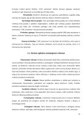 Sprendimų priėmimas įmonėje: UAB "Samsonas" 10 puslapis