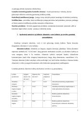 Statybinių medžiagų kontrolinis darbas 5 puslapis