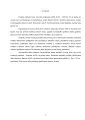 Statistikos darbas apie kuro kainas 2 puslapis