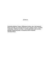 Statistinis tyrimas: pažymiai 2 puslapis