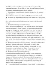 Strategic marketing plan: selling hiking boots "Cima Mountaineerind, Inc" 11 puslapis