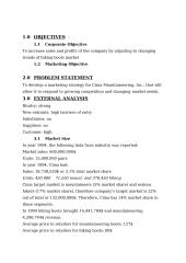 Strategic marketing plan: selling hiking boots "Cima Mountaineerind, Inc" 3 puslapis