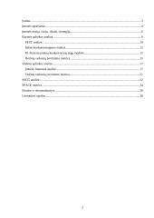 Strateginis auditas: AB "OlainFarm" 2 puslapis