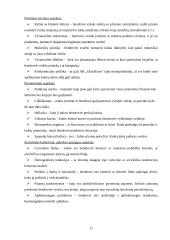 Strateginis auditas: AB "OlainFarm" 11 puslapis