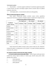 Strateginis auditas: AB "OlainFarm" 12 puslapis