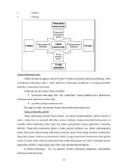 Strateginis auditas: AB "OlainFarm" 13 puslapis