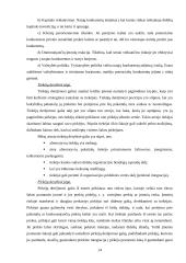 Strateginis auditas: AB "OlainFarm" 14 puslapis