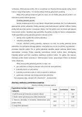 Strateginis auditas: AB "OlainFarm" 15 puslapis