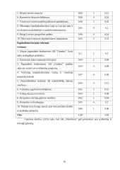 Strateginis auditas: AB "OlainFarm" 16 puslapis