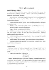 Strateginis auditas: AB "OlainFarm" 17 puslapis