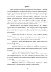 Strateginis auditas: AB "OlainFarm" 3 puslapis