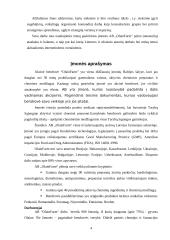 Strateginis auditas: AB "OlainFarm" 4 puslapis