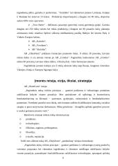 Strateginis auditas: AB "OlainFarm" 6 puslapis