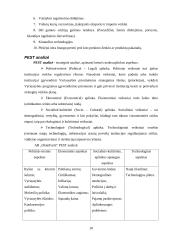 Strateginis auditas: AB "OlainFarm" 10 puslapis