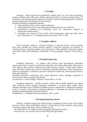 Strateginis organizacijų valdymas 2 puslapis