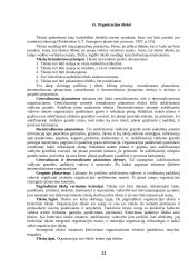 Strateginis organizacijų valdymas 11 puslapis