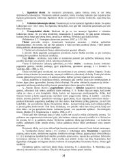 Strateginis organizacijų valdymas 12 puslapis