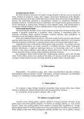 Strateginis organizacijų valdymas 13 puslapis