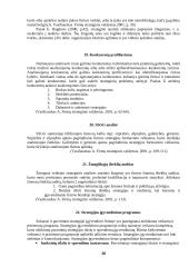 Strateginis organizacijų valdymas 14 puslapis