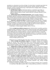 Strateginis organizacijų valdymas 15 puslapis