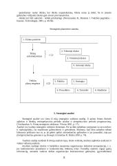 Strateginis organizacijų valdymas 3 puslapis