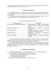 Strateginis organizacijų valdymas 4 puslapis